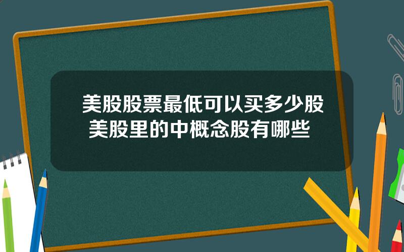 美股股票最低可以买多少股 美股里的中概念股有哪些